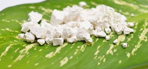 Discover the beauty of using cassava flour