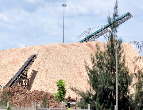 Export of wood chips, cassava juice significantly reduced the price for China 