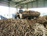 Exports of agricultural products of Vietnam dropped sharply