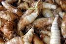 Cassava crystals