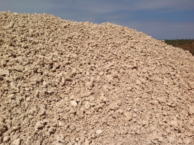 USING CASSAVA BAGASSE FROM INDUSTRIAL STARCH PROCESSING FOR FATTENING CATTLE