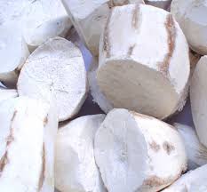 Sustainable development cassava Vietnam