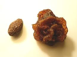 Drinking particles orangutans cure spinal column